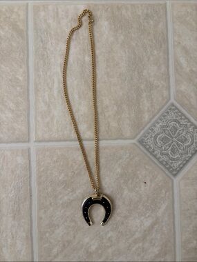 Horseshoe Necklace